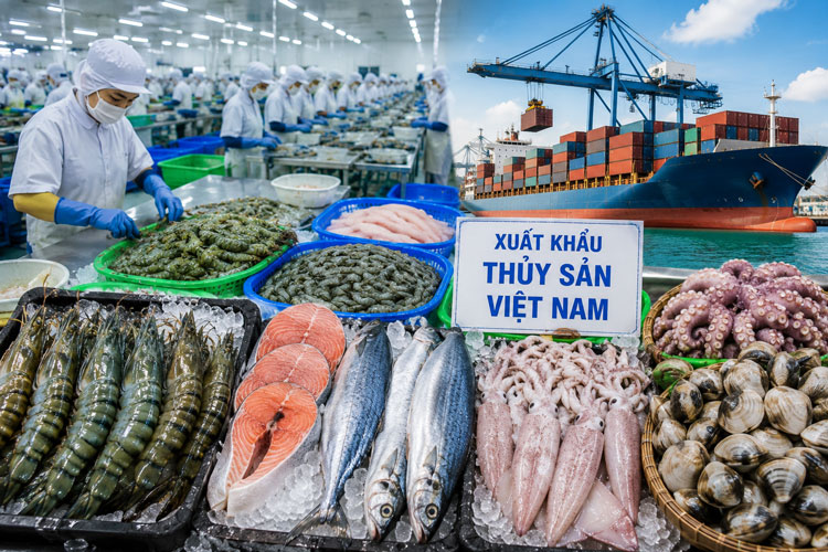 Xuất khẩu thủy sản bứt phá tại nhiều thị trường